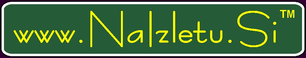 www.NaIzletu.Si 